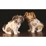 A Pair of Charming 20th Century 'Meissen' Bolognese Terriers after Kaendler,