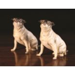 Two Delightful Nymphenburg Porcelain Pug Dogs with fine hand painted details,