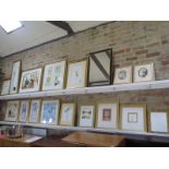 A collection of 16 modern gilt framed prints and a black and gilt framed mirror