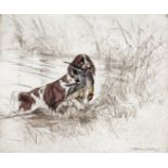 ‡ George Vernon Stokes (1873-1954) Border terriers; A wet retrieve; A kingfisher 3, all signed and