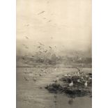 William Lionel Wyllie R.A. (1851-1931) Seagulls at low tide Signed Etching 30 x 21cm; 12 x 8½in ++