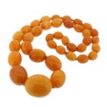 A single row amber bead necklace, the oval beads graduate from 1.5 x 1.3cm to 3.6 x 2.8cm. 94.5cm