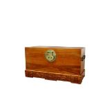 A MASSIVE CHINESE CAMPHOR WOOD CHEST, 19TH CENTURY Of rectangular form with two loose ring handles