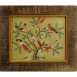 Five bird feather and watercolour pictures, comprising: six exotic birds in a tree, in a glazed