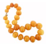 A slightly graduated amber bead necklace, 85.0g. 43.5cm.