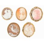 A 19th century carved shell cameo brooch, depicting a woman's head and mounted in a ropetwist frame.