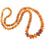 A single row graduated amber bead necklace, 165g, 100cm.