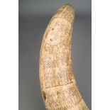 Anglo-Zulu War Interest An engraved cow horn with rows of Infantrymen, cavalrymen, a band and a