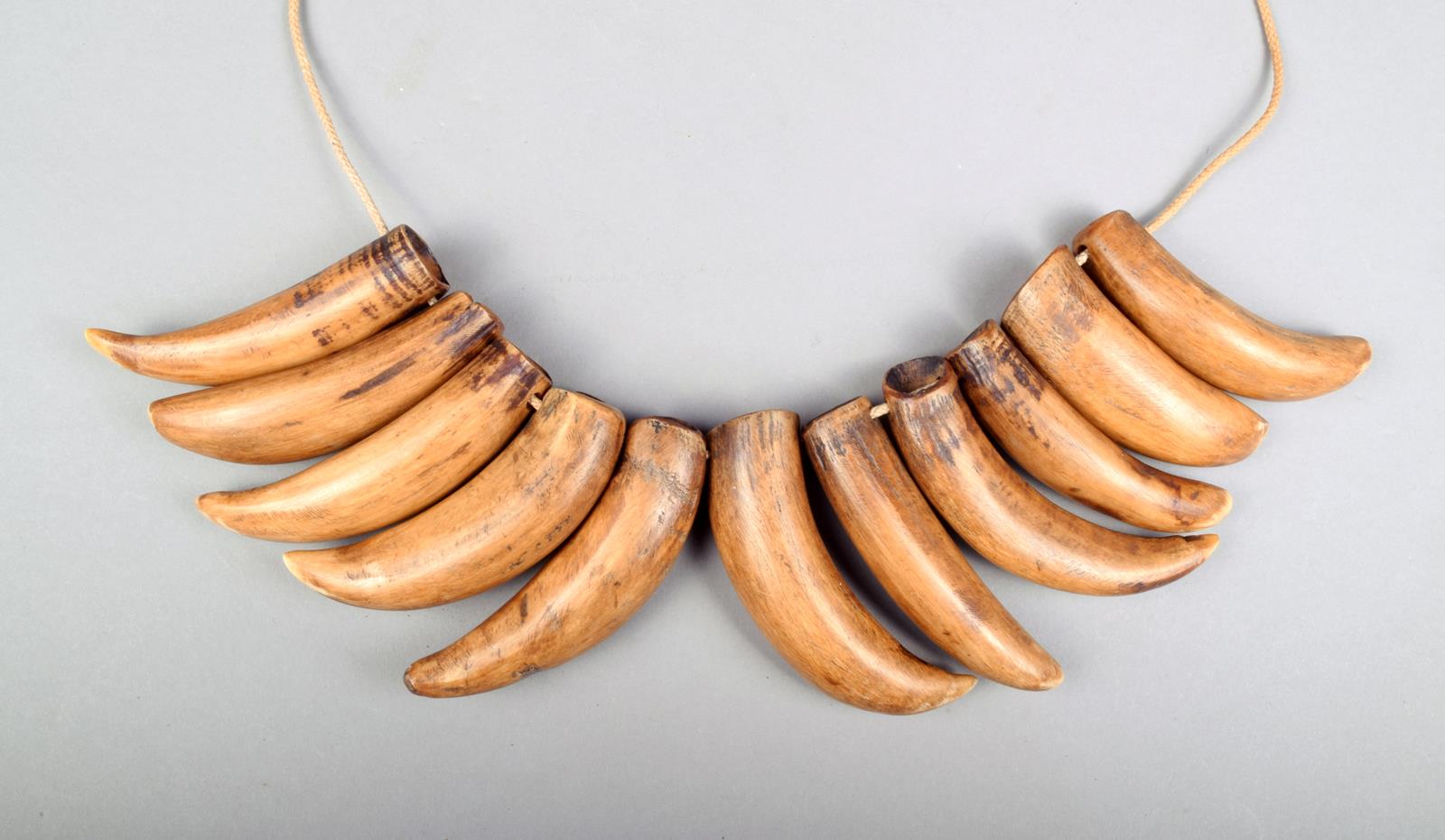 A Fiji sperm whale tooth necklace, Sisi Polynesia with eleven teeth pierced for attachment with