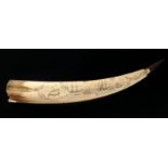 A sailor's scrimshaw walrus tusk, one side engraved with a whaling scene flanked by a pair of