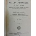 The Wild Flowers of Great Britain by Hogg & Johnson with original plates drawn and coloured from