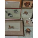 A collection of studies of dachshund  including example signed Madeleine Selfe showing the head of a