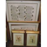 A collection of decorative pictures and prints including a pair of coloured prints of alphabets of