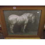 An early 20th century pencil study of a shire horse with plaited mane, with old label verso - Miss