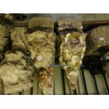 A set of four reclaimed cast composition stone corbels with lions mask and acanthus detail (AF)