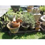 One lot of garden planters of varying size and design including weathered terracotta examples (