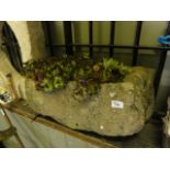 A small weathered rough hewn natural stone trough of rectangular form, planted with cacti