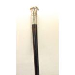 An ebonised walking cane with applied silver knop handle, hallmarked London 1907