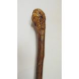 A timber walking cane with carved finial handle terminating in the form of a parrot's head with