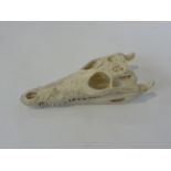 A small crocodile/Cayman skull, 18cm in length approx