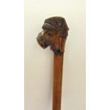 A timber shafted walking cane terminating in knop handle in the form of a grotesque carved head with