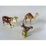 A Beswick model of a Hereford bull with circular printed mark to base, a Beswick model of a standing
