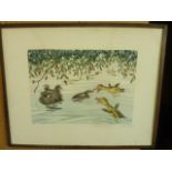 A 20th century continental humorous signed etching of a terrier swimming and pursued by ducklings,