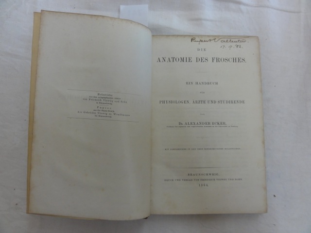 Die Anatomie des Frosches by Dr Alexander Ecker 1864 with coloured illustrations