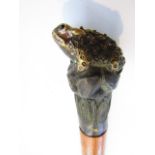 A Malacca shafted walking cane terminating in a cast metal knop handle in the form of a toad