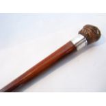 An early 20th century Malacca walking cane of timber form terminating in an applied walnut knop