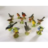 A collection of Beswick model birds including a Baltimore oriole, green finch, wren, nuthatch,