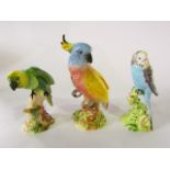 Three Beswick models of birds comprising a parakeet with green and yellow plumage, impressed