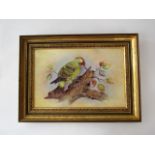 A rectangular ceramic plaque with painted decoration of a green woodpecker on a branch, signed G