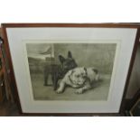 A large early 20th century black and white print after Maud Earl showing a British and a French bull