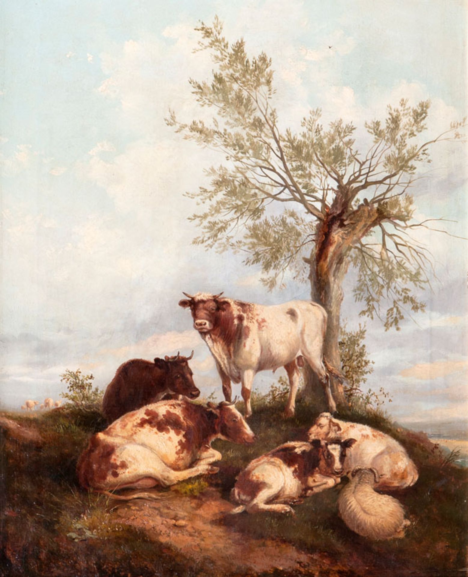 Cooper, Thomas Sidney (Canterbury 1803 - Vernon Holme 1902), school of Resting Sheep and Cows Oil/