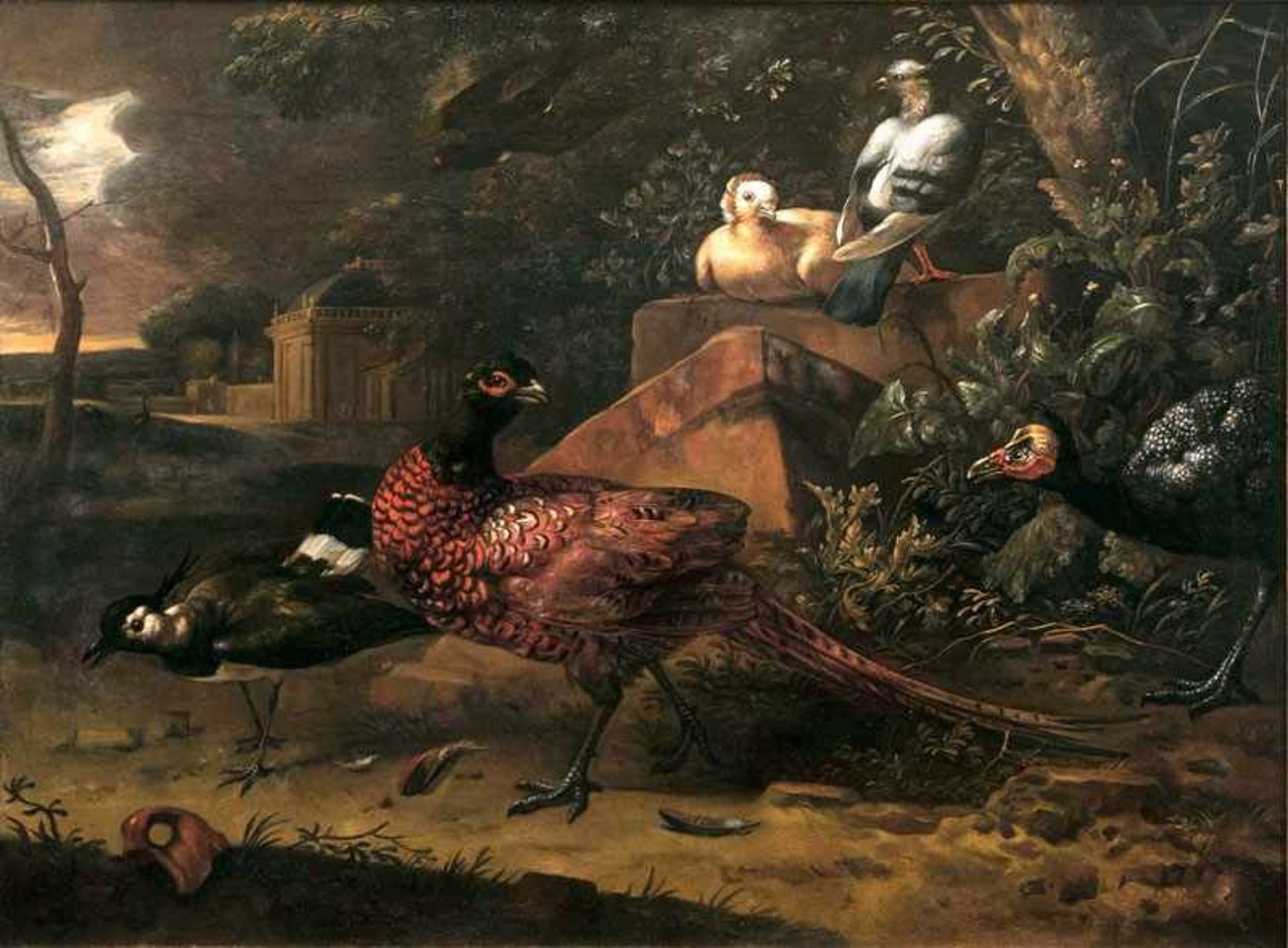 Melchior de Hondecoeter (Utrecht 1636 - Amsterdam 1695), Umkreis Vögel in einer klassischen