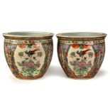 A PAIR OF CHINESE FAMILLE ROSE FISH BOWLS, 20TH CENTURY each of typical form, painted with