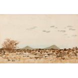 Adolph Stephan Friedrich Jentsch (Namibian 1888-1977) NAMIB SCENE signed watercolour on paper 20
