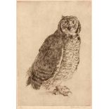 François Krige (South African 1913-1994) OWL etching, signed and numbered 8/25 sheet size: 25 by