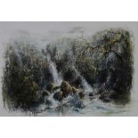 Jason Margolis (South African 1971-) MAGICAL FOREST signed pastel on paper 68 by 98cm