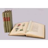 Maund, B. THE BOTANIC GARDEN - 6 Vols Simpkin Marshall & Co, London, 1835 first edition 6 (of 13)