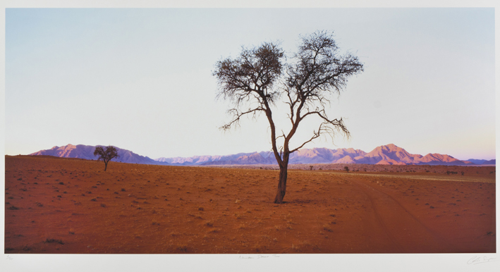 CHRIS SIMPSON, (BRITISH, 1952-): 'NAMIBIAN DESERT TREE', GICLÉE PRINT, SIGNED AND INSCRIBED WITH THE