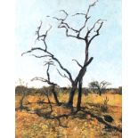 Carl Walter Meyer (South African 1965-) KALAHARI signed, dated 2012 and titled on reverse oil on