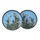 A PAIR OF JAPANESE CLOISONNE PLATES, MEIJI, 1868-1912 each depicting a stork in flight above kiku