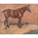 Murray Urquhart (British 1880-1972) HORSE signed oil on canvas PROVENANCE This painting was found