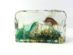 Cendese, Vintage Murano glass aquarium sculpture, two fish approximately 17 x 11 cm, circa 1950/60s,