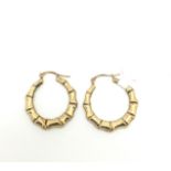 9ct hoop earrings