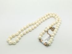 Single row of Freshwater pearls