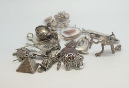 A selection of various themed animal and other themed jewellery items including brooches and
