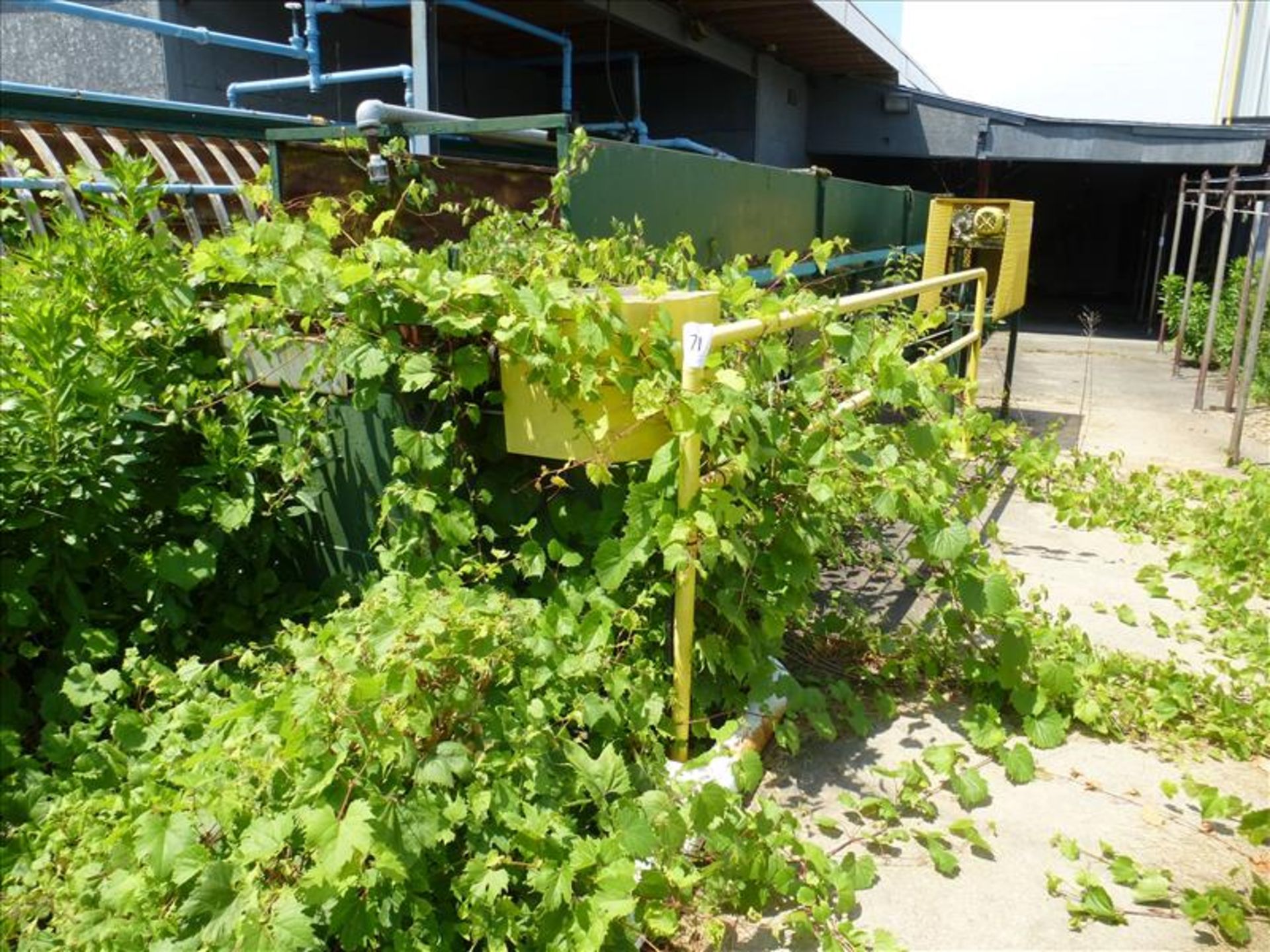 approx. 60' cooler feed can cable conveyor - Image 4 of 5